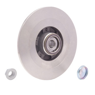 DFC 10-14 Renault Safrane (Mexico) Rear Brake Rotor