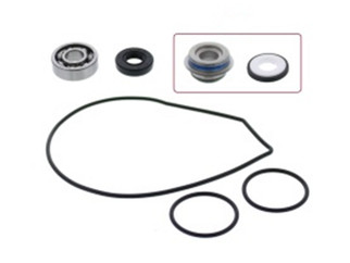 Water Pump Repair Kit Yam