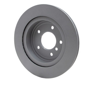 DFC 09-16 BMW Z4 Rear GeoSPEC Coated Rotor
