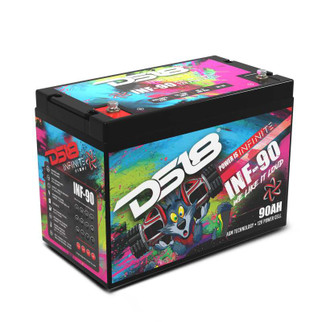 DS18 2500 Watts 90 AH Infinite AGM Power Cell Battery