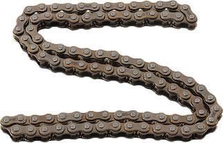 Cam Chain