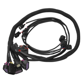 Edelbrock Chevy Gen III/IV LS Pro-Flo 4+ EFI Engine Management System