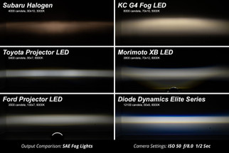 Diode Dynamics 19-22 Toyota RAV4 Elite Series Add-On Fog Lamp Kit - White