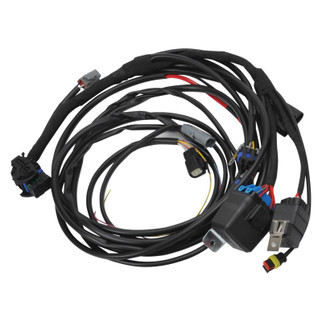 Edelbrock 08-12 MOPAR Gen 3 Hemi Pro-Flo 4 Plus Fuel Injection System