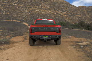 DV8 Offroad 2017-2020 Ford F-150 Raptor Tube Rear Bumper