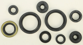 Oil Seal Set