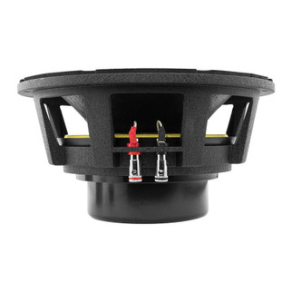DS18 10in 1000 Watts RMS 8 ohm Neodymium Mid-Bass Loudspeaker