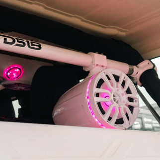 DS18 Marine And Powersports Towers 8in 125 Watts RMS RGB LED Lights White