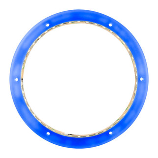 DS18 Marine And Powersports Speakers And Towers Ring 10in RGB LED Lights