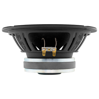 DS18 8in 150 Watts RMS 8 ohm Mid-Bass Loudspeaker