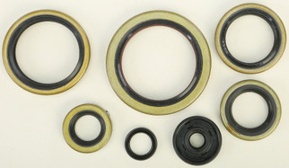 Oil Seal Set