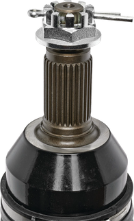 WP531-0828_2.png