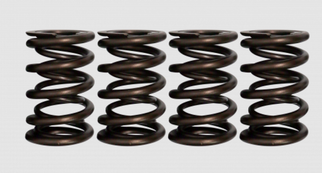 Ferrea Ford Coyote 5.0L 32 Valves 0.806/1.102in OD 0.580/0.806in ID Dual Valve Springs - Set of 32