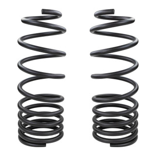 ARB OME Prado 250 Coil Spring - Rear 880lbs