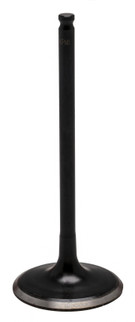 Black Diamond Intake Valve