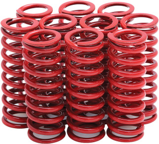 Clutch Spring
