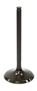 Intake Valve
