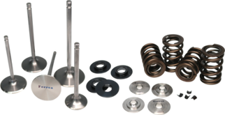Ferrea 01-06 BMW S54 Dual Spring Kit