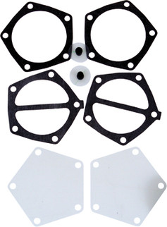 Fuel Pump Repair Kit Dual