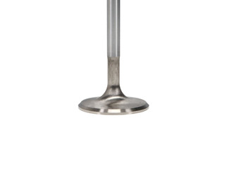 Manley Toyota 4.5L 1FZ-FE intake Valve Kit - 39.20mm Head Dia. 100.00mm O/A Length, 0.2740in Stem