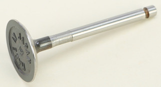 Intake Valve
