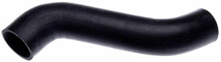 Gates 02-03 Volvo VHD Cummins ISM Diesel Lower - Eng. To Rad. Molded Coolant Hose
