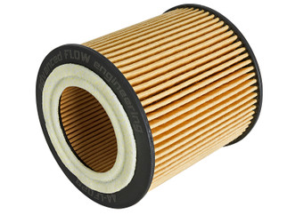 aFe Pro GUARD D2 Oil Filter 06-19 BMW Gas Cars L6-3.0T N54/55 - 4 Pack