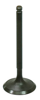 Intake Valve