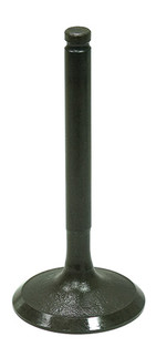 Intake Valve