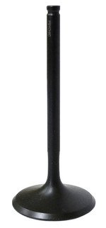 Intake Valve