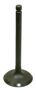 Intake Valve