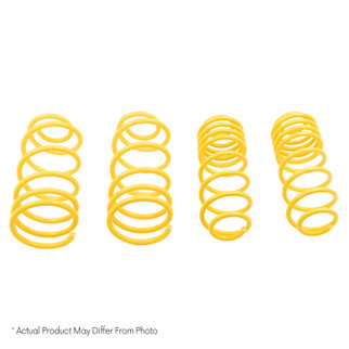 ST Muscle Car Springs Chevrolet Camaro Nova / Pontiac Firebird / Omega Ventura