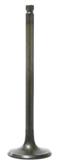 Intake Valve