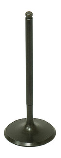 Intake Valve