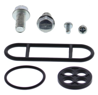 Fuel Tap Repair Kit