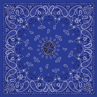 Bandanna Navy Paisley