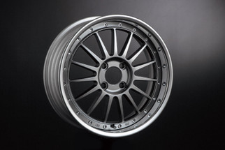 SSR Professor TF1R 16x9.0 / +19 NR / 4x100  - Spectrum Silver