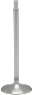 White Diamond Intake Valve M8 1.571 Std