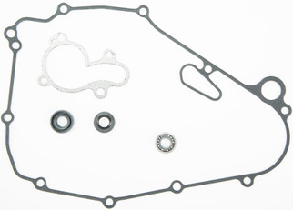 Water Pump Repair Kit W/bearings Kaw