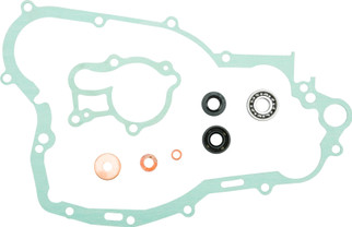 Water Pump Repair Kit W/bearings Yam