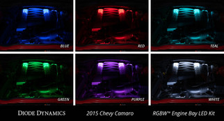 Diode Dynamics RGBW Engine Bay Strip Kit 2pc Multicolor
