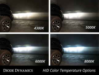 Diode Dynamics HID Bulb D2R 8000K (Pair)