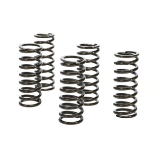 Wiseco 10-13 Honda CRF250R Clutch Spring Kit