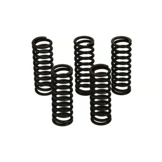 Wiseco Yamaha YZ125/660R Raptor Clutch Spring Kit