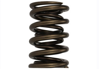 Ford Racing Replacement Hydraulic Roller Valve Spring - Single (For M-6049-SCJA)