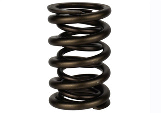 Ford Racing Replacement Hydraulic Roller Valve Spring - Single (For M-6049-SCJA)