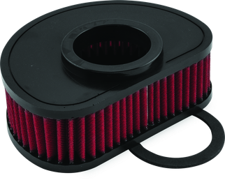BikeMaster Kawasaki VN1600 Vulcan Classic/Nomad Air Filter