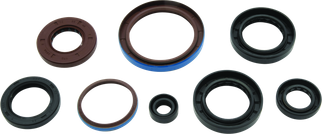 QuadBoss 12-14 Arctic Cat 550 4x4 EFI Oil Seal Set