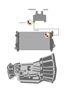 Fleece Performance 06-10 GM 2500/3500 Duramax Replacement Transmission Line (LBZ/LMM) - Short Line