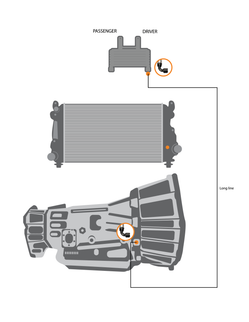 Fleece Performance 01-05 GM 2500/3500 Duramax Replacement Transmission Line (LB7/LLY) - Short Line